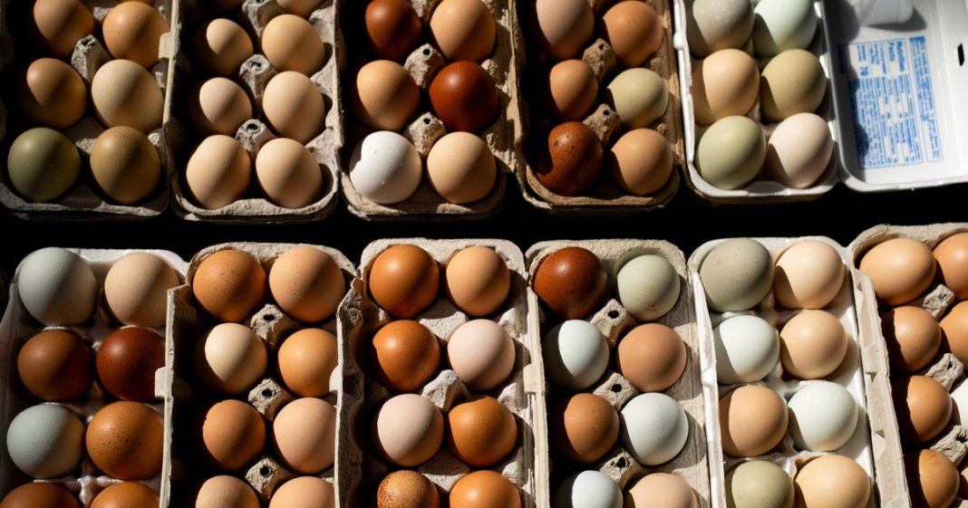 Egg prices for consumers fell to 5-month low in May. Here's why.