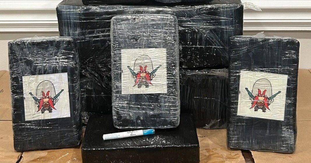 Florida beachgoer finds nearly half a million dollars of cocaine wrapped in 