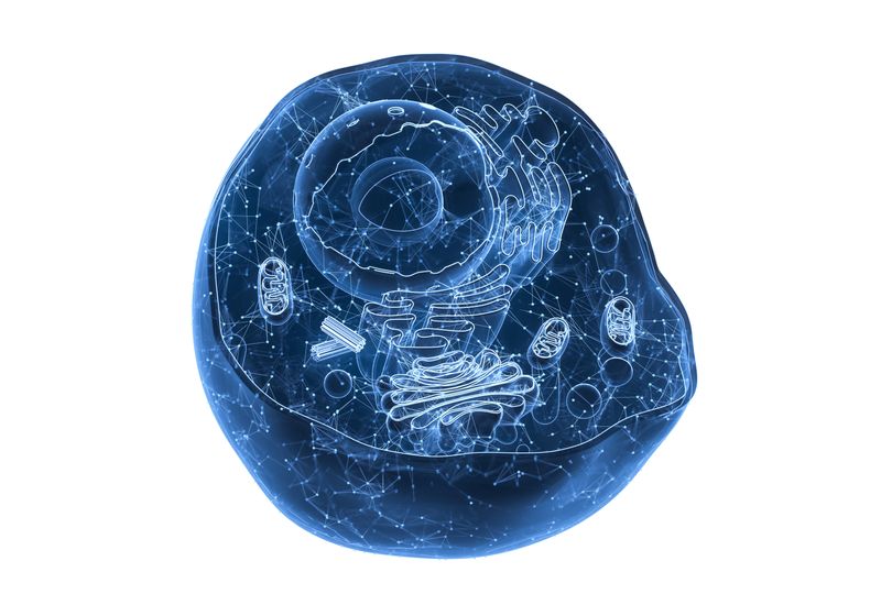 The Scientist Logo